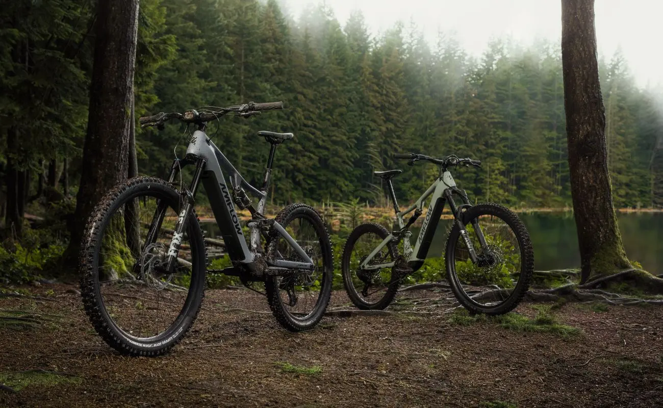Amflow PR Carbon EMTB - Preorder - Image 3