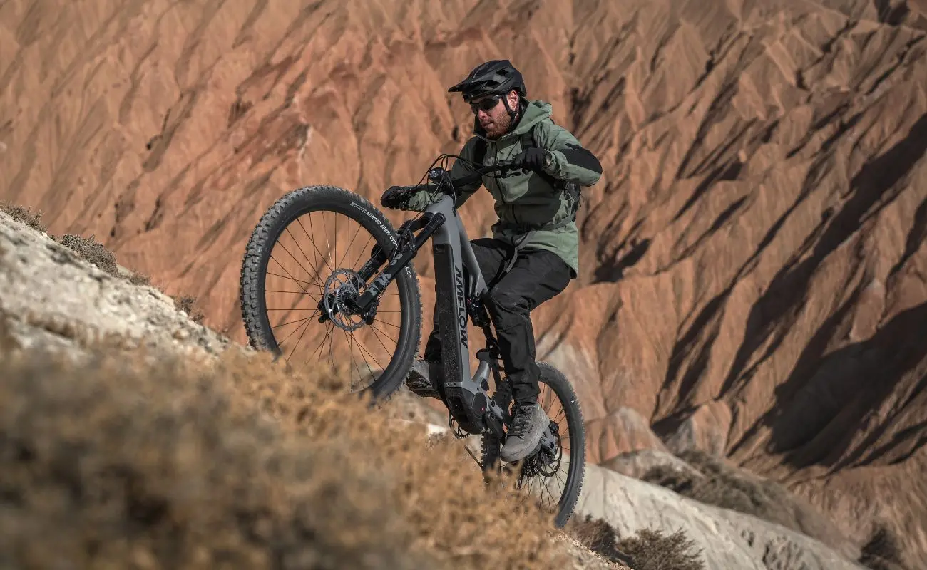 Amflow PR Carbon EMTB - Preorder - Image 6