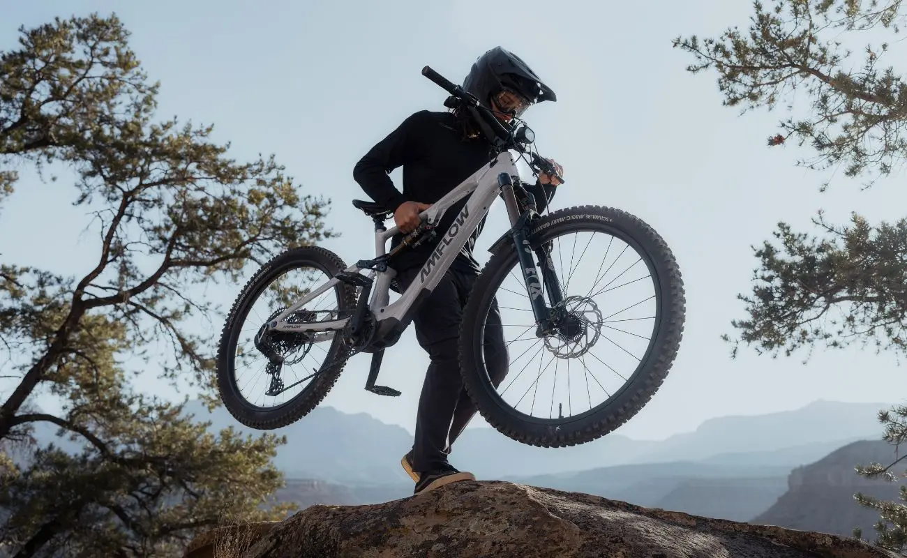 Amflow PX Carbon Pro EMTB - Image 7