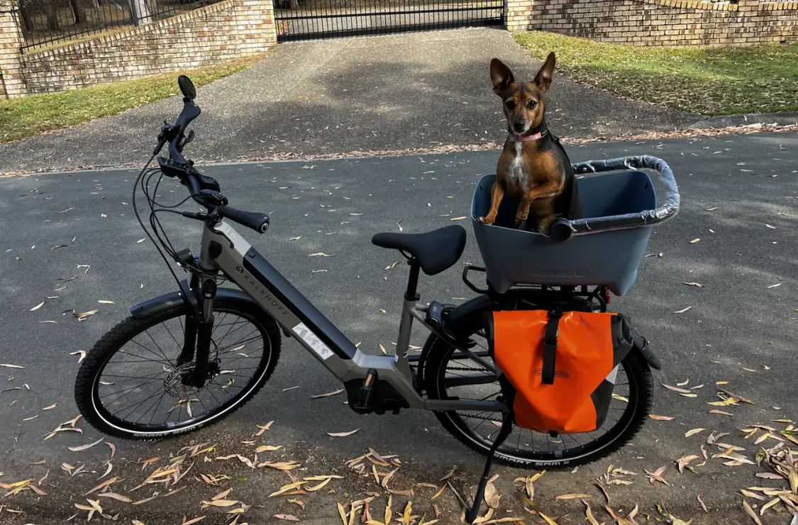 BASIL Buddy Dog Bicycle Basket MIK 2.0 - Image 9