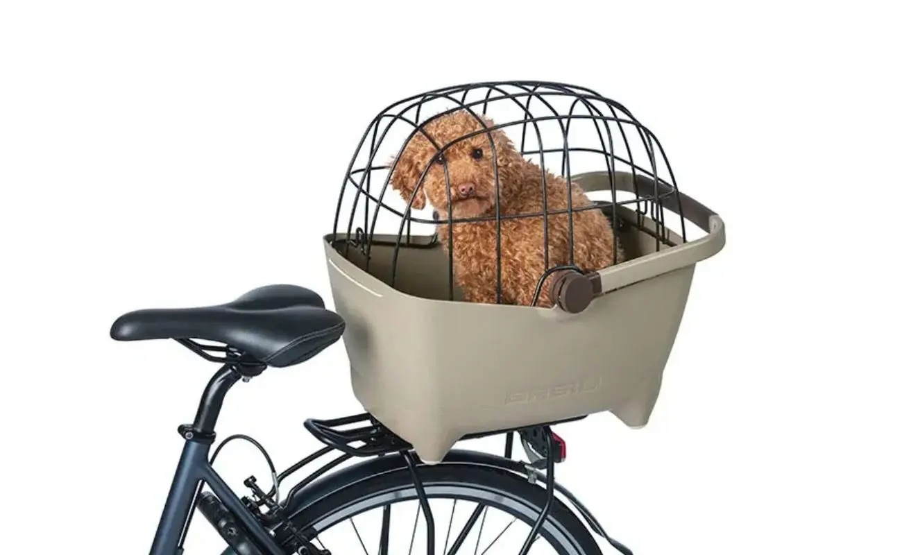Basil Buddy Spaceframe - Image 2