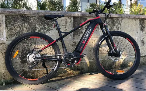 Earth T-Rex 29Sp eMTB - Image 4