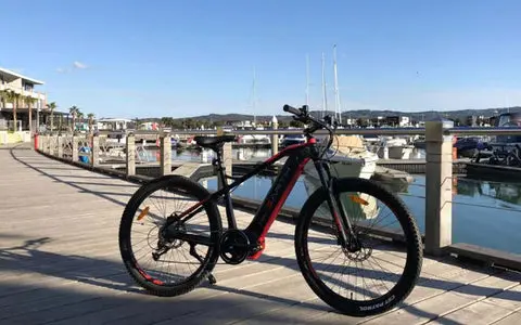 Earth T-Rex 650B eMTB - Last one - Image 3