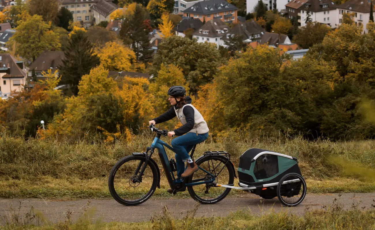 Focus F26 Aventura2 6.8 800Wh E-Bike, Steelgrey - Image 6