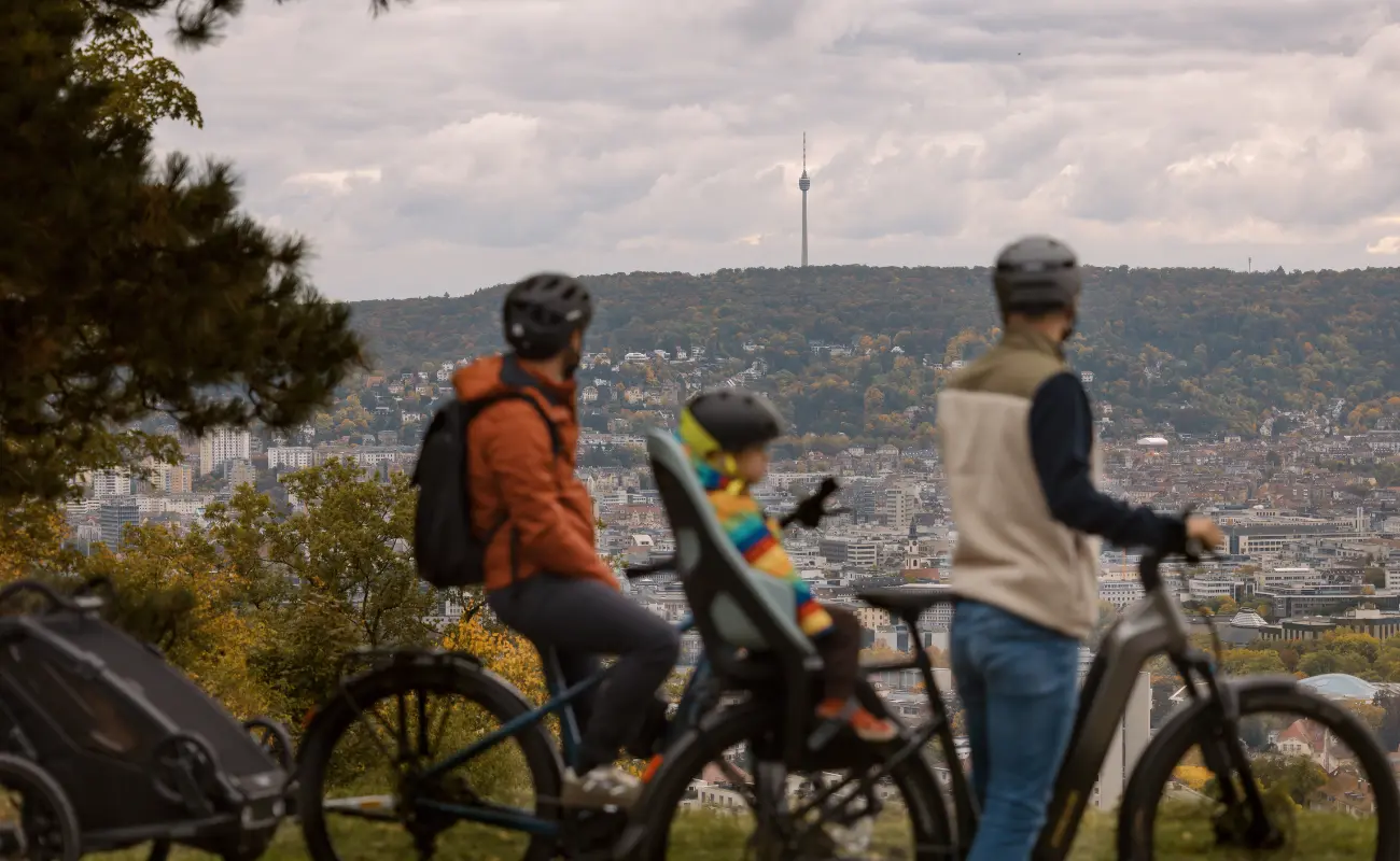 Focus F26 Aventura2 6.8 Wave 800Wh E-Bike, Steelgrey - Image 7