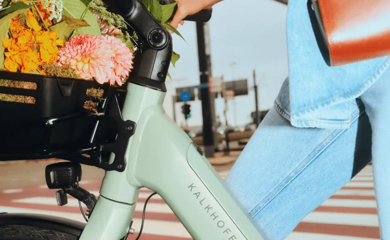 Kalkhoff Front Carrier for L.B EBike - Image 4