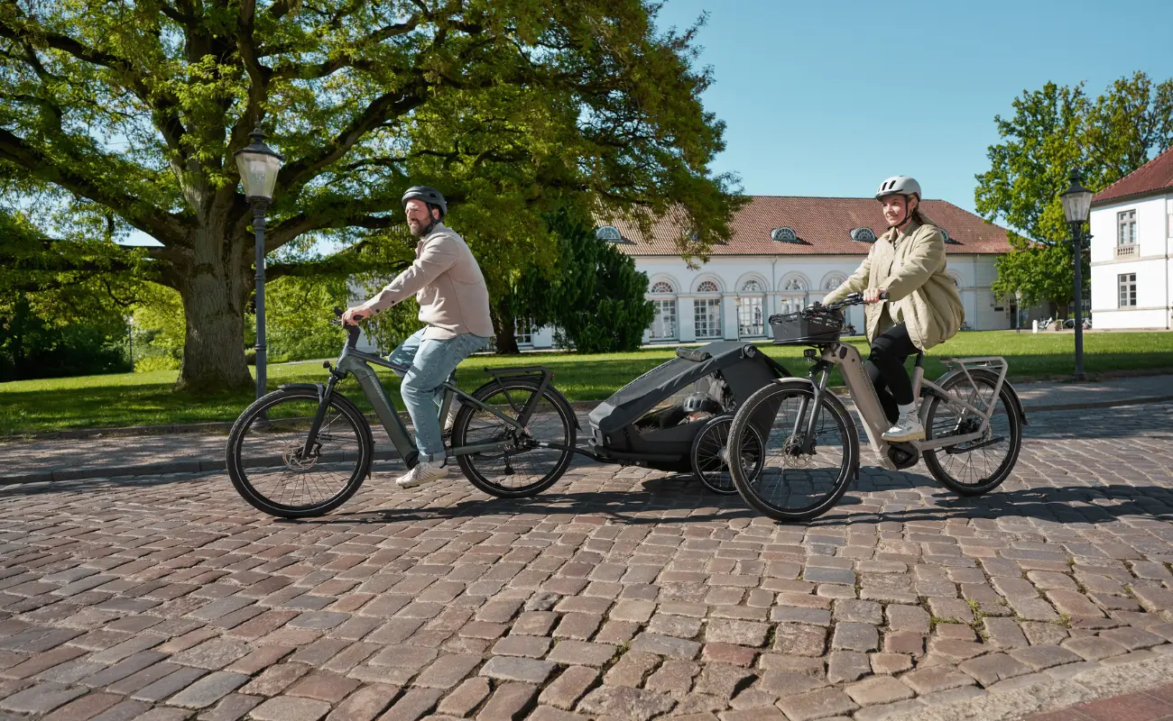 Kalkhoff K26 Endeavour 3 Move Wave EBike, Silver - Image 8