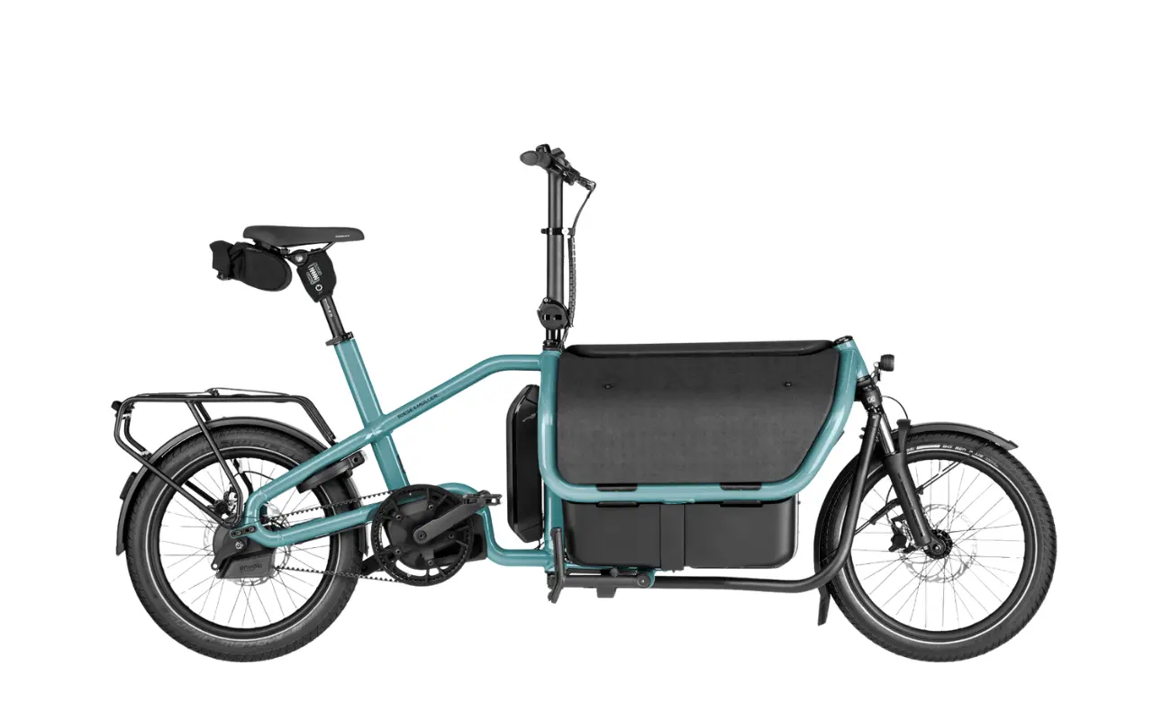 Riese & Muller Carrie2 Automatic Cargo EBike - Image 4