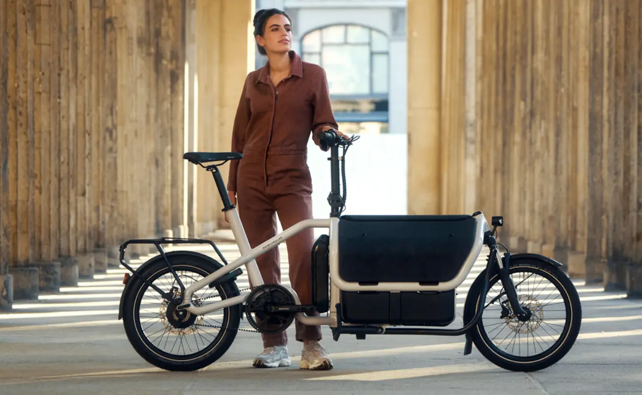 Riese & Muller Carrie2 Cargo Kit - Image 3