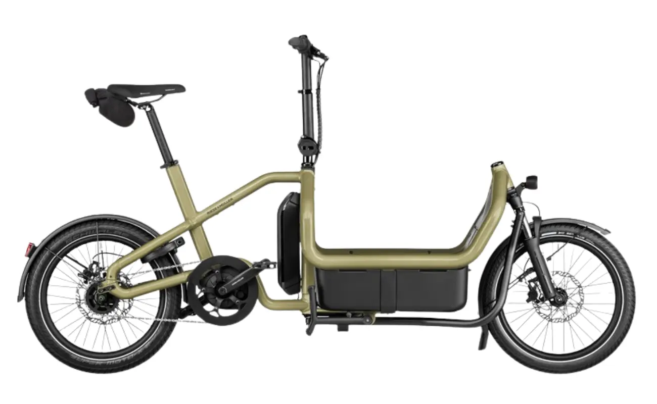 Riese & Muller Carrie2 City EBike - Image 3
