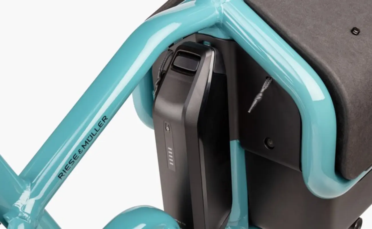 Riese & Muller Carrie2 City EBike - Image 6