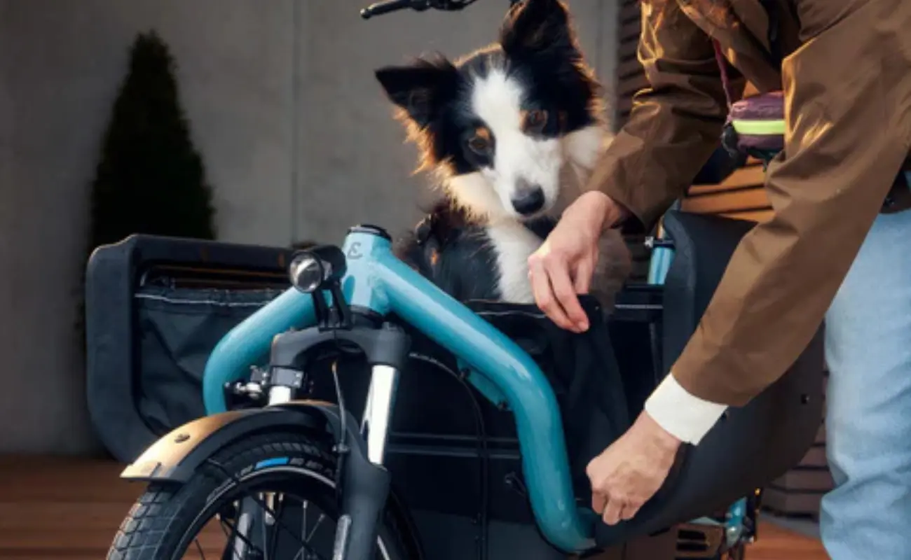 Riese & Muller Carrie2 EBike Dog Kit - Image 3