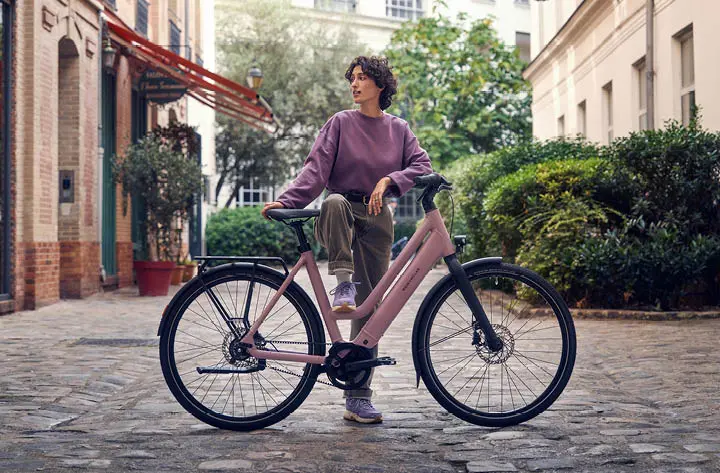 Riese & Muller Culture Mixte Vario EBike - Image 6