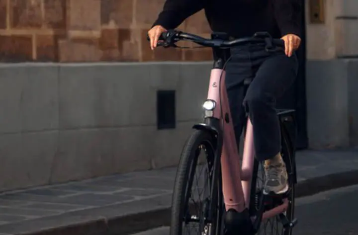 Riese & Muller Culture Mixte Vario EBike - Image 8