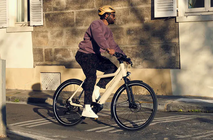 Riese & Muller Culture Silent EBike - Image 7