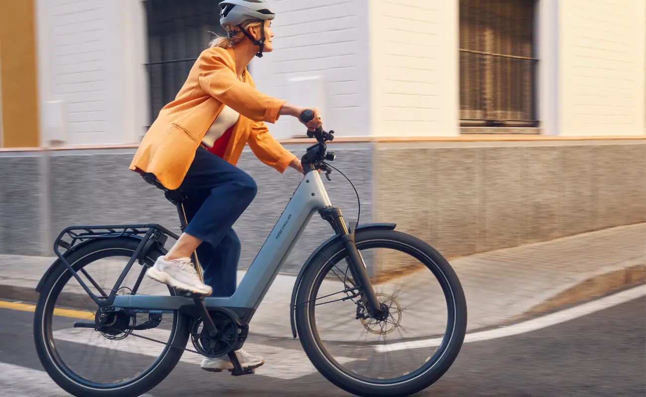 Riese & Muller Nevo5 Vario 800Wh EBike - Image 5