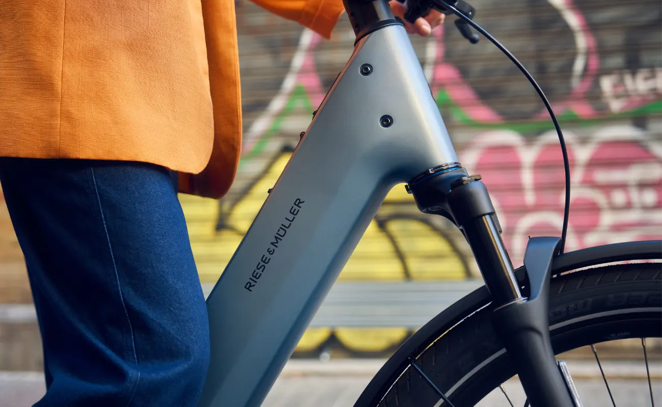 Riese & Muller Nevo5 Vario 800Wh EBike - Image 6