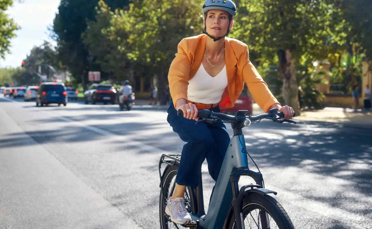 Riese & Muller Nevo5 Vario 800Wh EBike - Image 7