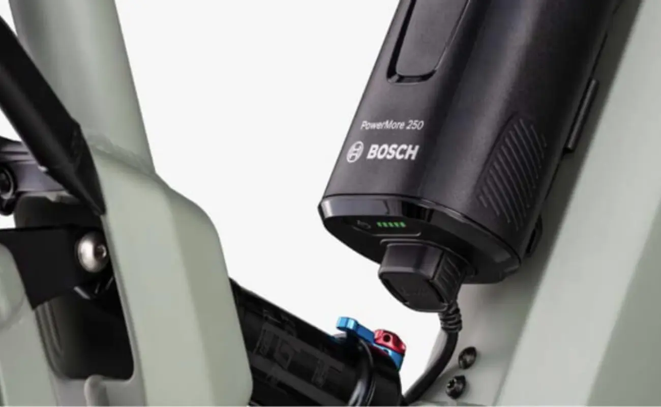 Riese & Muller Range Extender 250 - Image 3