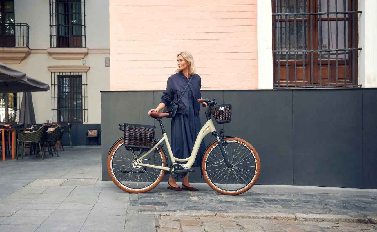 Riese & Muller Swing5 Vario E-Bike - Image 2