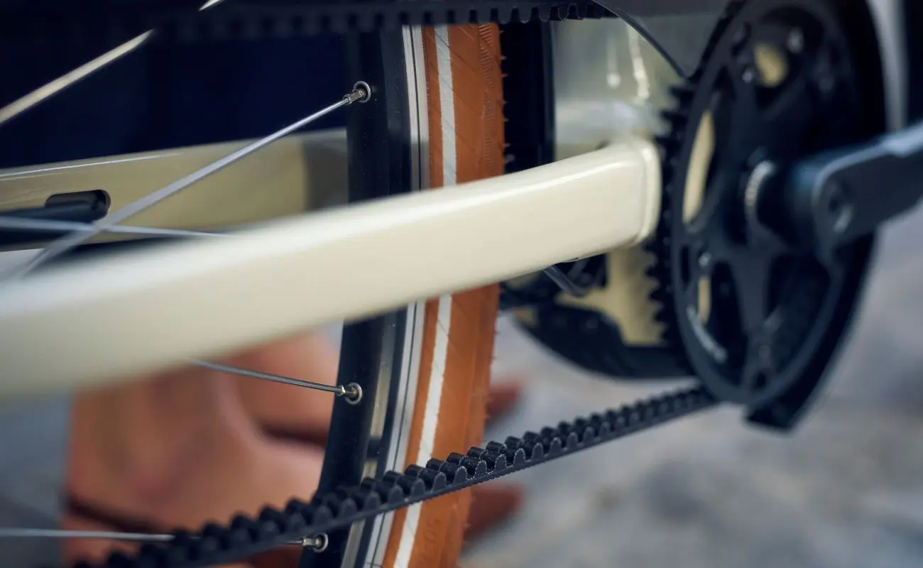 Riese & Muller Swing5 Vario E-Bike - Image 3