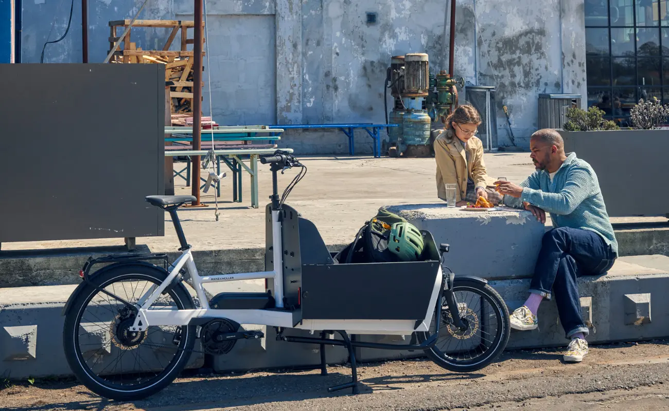 Riese & Muller Transporter2 65 Silent Cargo EBike - Image 6