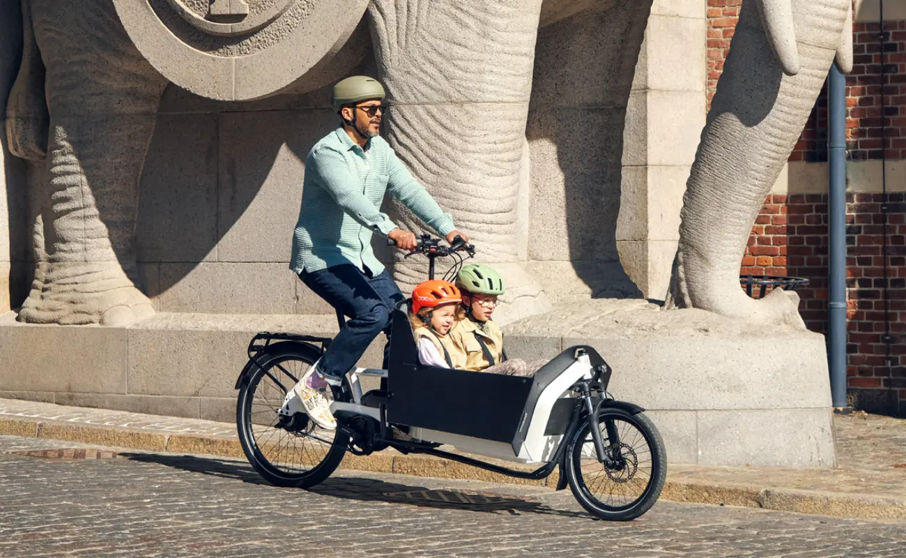 Riese & Muller Transporter2 65 Silent Cargo EBike - Image 7