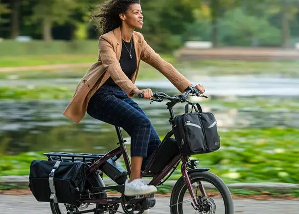 Tern Quick Haul P9 EBike - Image 4
