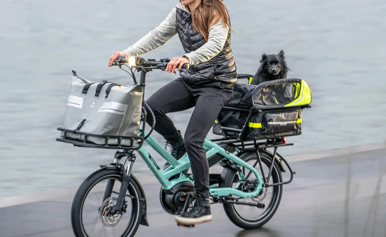 Tern Transporteur Rack - Image 5